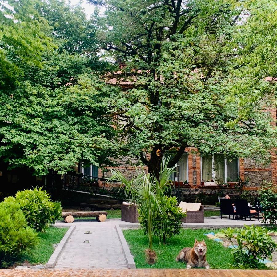 Wald Hotel Lagodechi Exterior foto