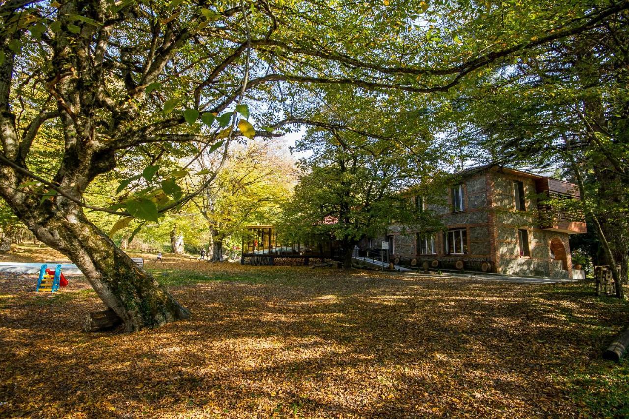 Wald Hotel Lagodechi Exterior foto